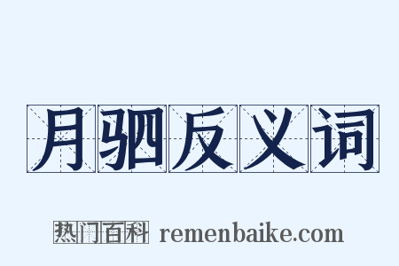 月驷反义词是什么意思的图片